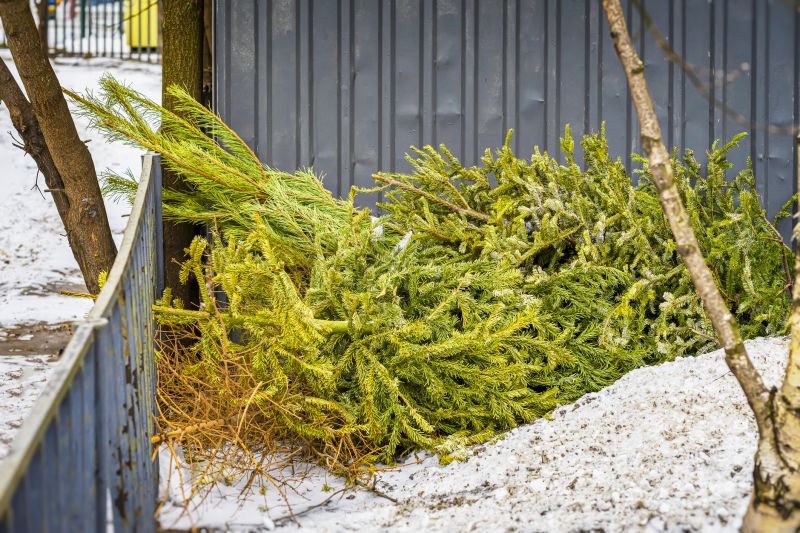 Seasonal Wildlife Problems For Homeowners